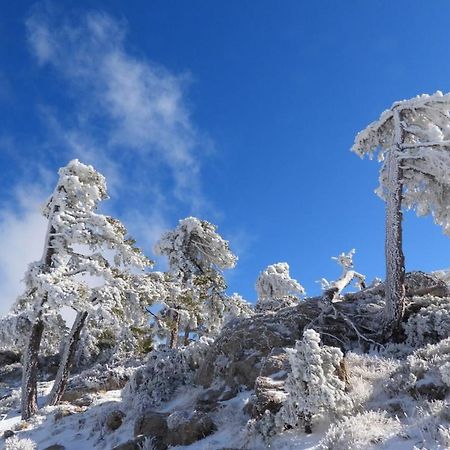 Villa Forastera Arroyo Frio Εξωτερικό φωτογραφία
