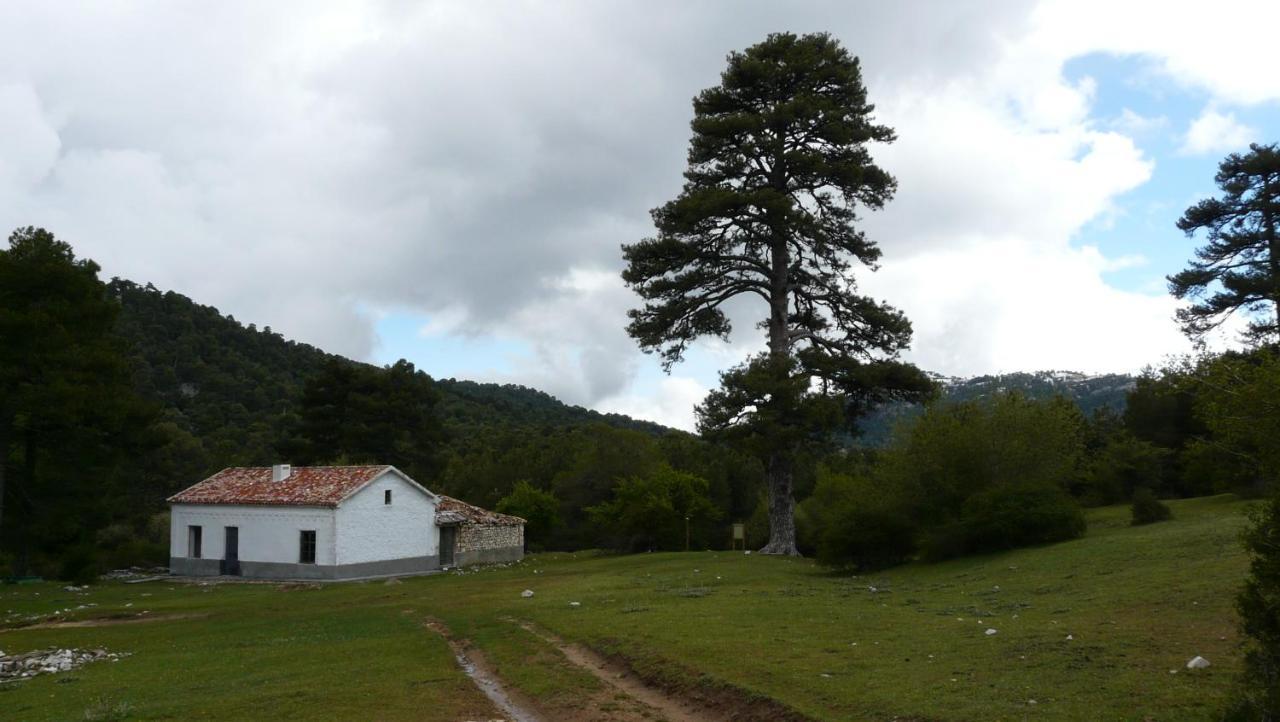 Villa Forastera Arroyo Frio Εξωτερικό φωτογραφία
