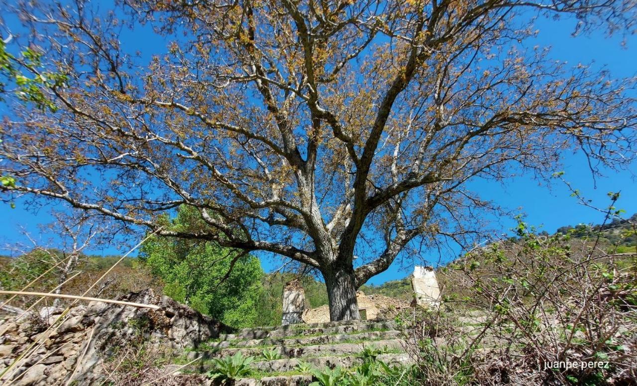 Villa Forastera Arroyo Frio Εξωτερικό φωτογραφία
